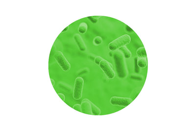 Immagine latto batteri-attivi Aloe Deo Montenatura