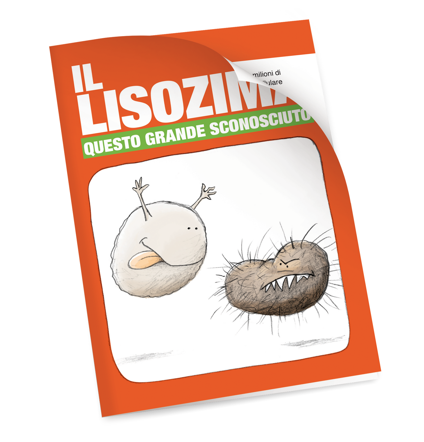 MONTENATURA <BR>LISOgola